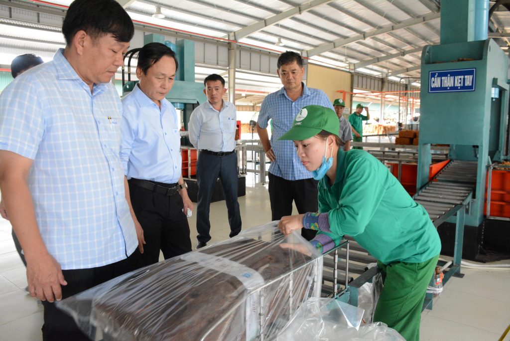 Cao su Chư Mom Ray 7 tháng đầu năm khai thác trên 52% kế hoạch